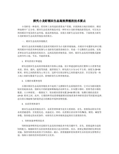 探究小龙虾稻田生态高效养殖的技术要点