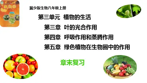 第三单元第三、四、五章章末复习(课件)-八年级生物上册(冀少版)