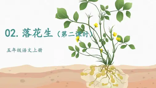 最新人教部编版小学五年级上册语文第2课《落花生》第二课时名师课件