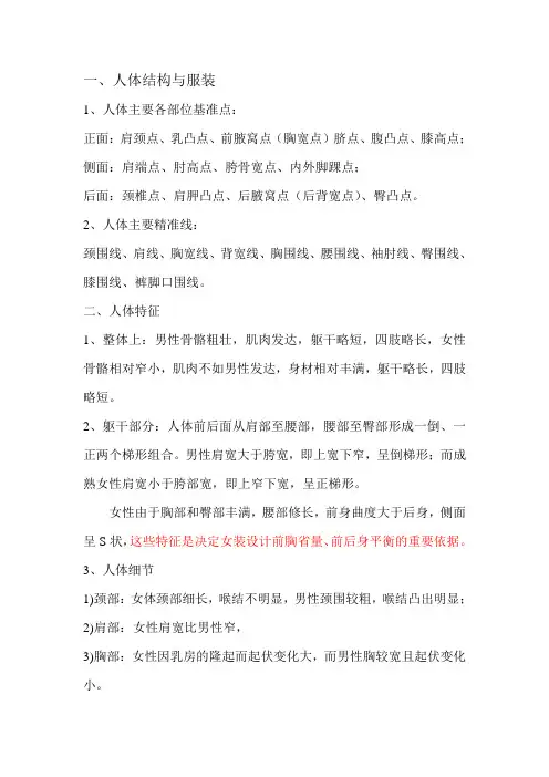 服装人体结构