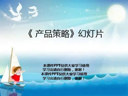 《产品策略》幻灯片