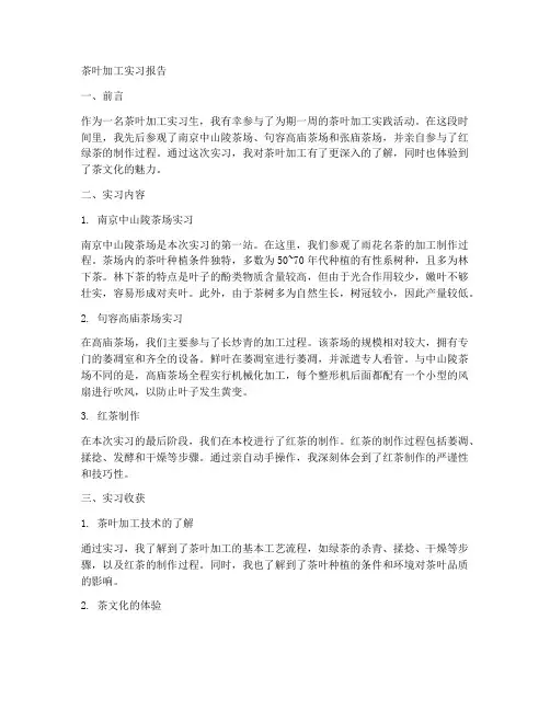 茶叶加工实习报告