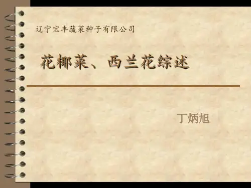 西兰花综述