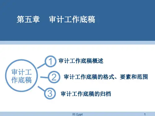 《审计工作底稿》PPT课件