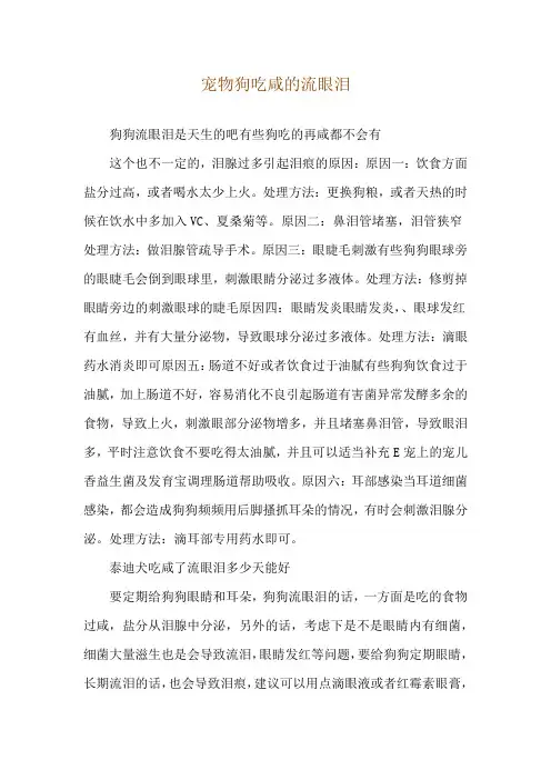 宠物狗吃咸的流眼泪