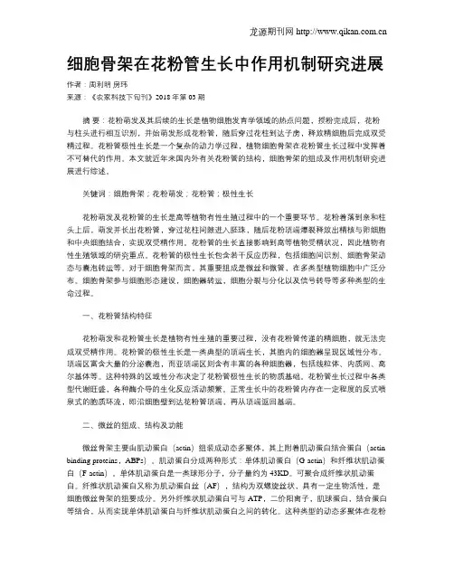 细胞骨架在花粉管生长中作用机制研究进展