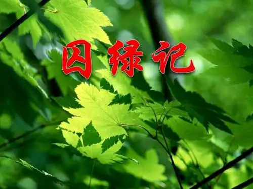 《囚绿记》 精品PPT课件3(共17张)