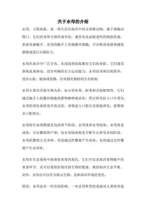 关于水母的介绍
