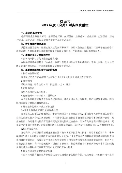 年度财务报表附注(合并)-模板