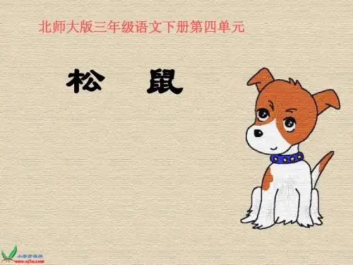 北师大版三年级语文下册松鼠课件第二课时