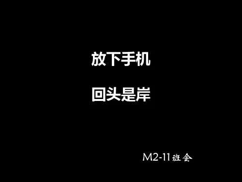 合理使用手机 PPT课件