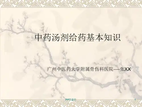 中药汤剂给药基本知识  ppt课件