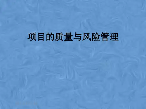 项目的质量与风险管理