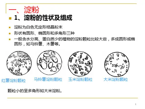 淀粉酶PPT课件