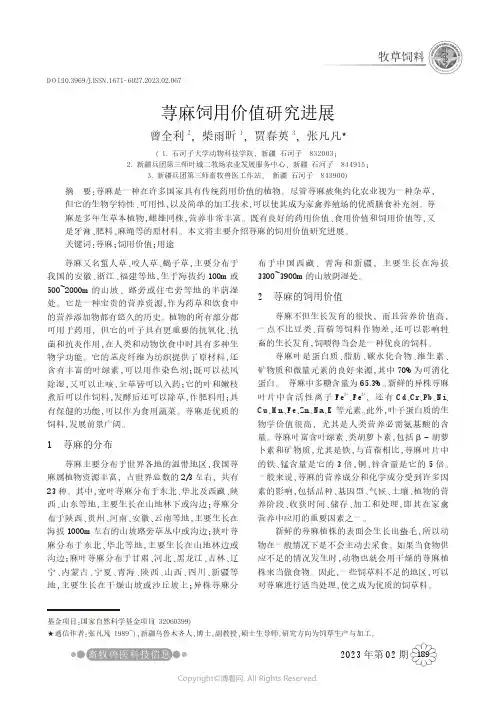 荨麻饲用价值研究进展