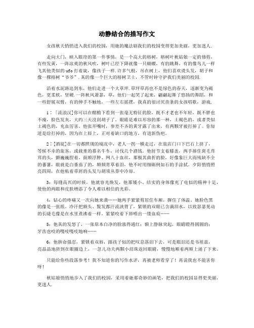 动静结合的描写作文