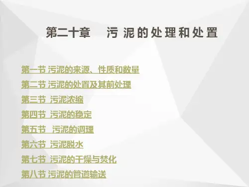 污泥的处理和处置ppt