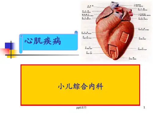心肌疾病  ppt课件