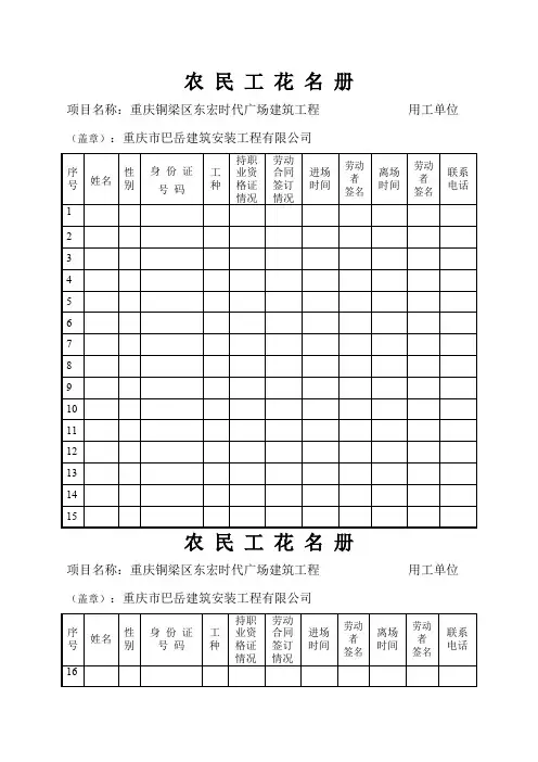农民工花名册(新标准)