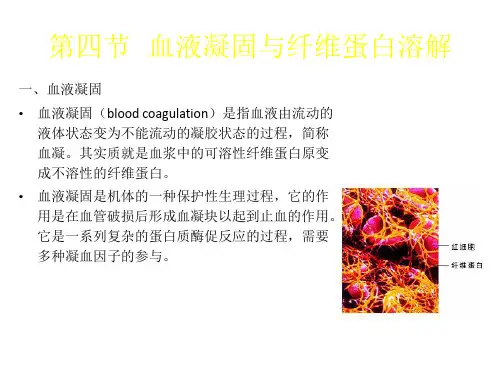 血液凝固与纤维蛋白溶解