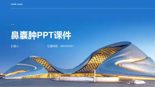 鼻囊肿讲课PPT课件