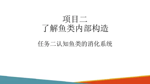 鱼类内部构造—鱼类消化系统的构造特征