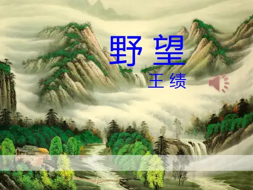《野望》PPT-完美版