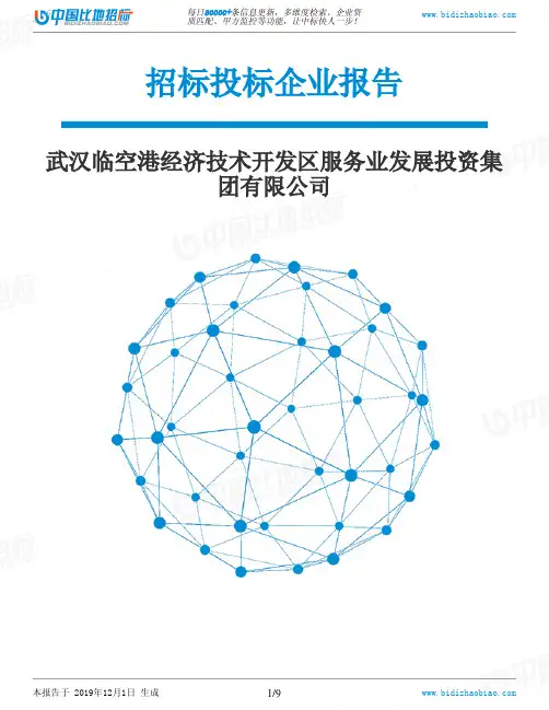 武汉临空港经济技术开发区服务业发展投资集团有限公司-招投标数据分析报告