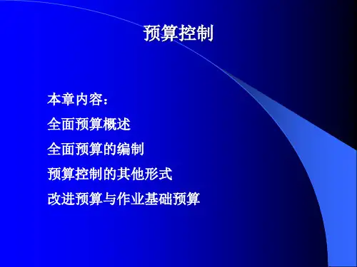 财务管理预算控制.pptx