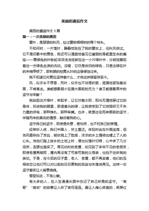 美丽的邂逅作文