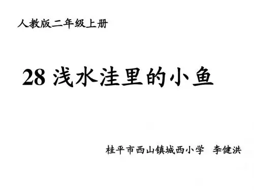 《浅水洼里的小鱼》PPT课件
