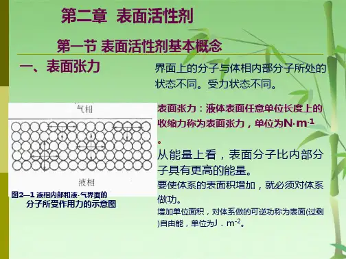 第二章表面活性剂(共56张PPT)