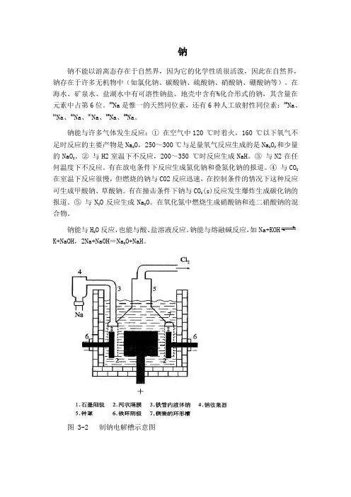苏教版-必修一-专题2 从海水中获得的化学物质-第二单元 钠、镁及其化合物