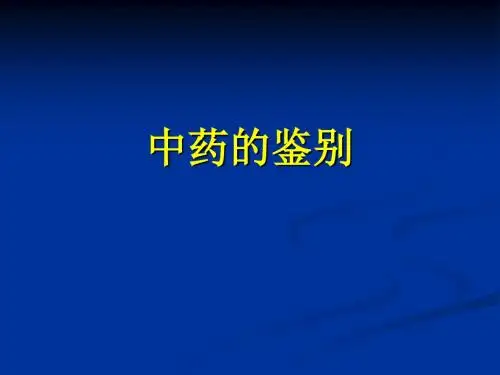 实验中药鉴别PPT课件