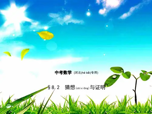 中考数学一轮复习 第八章 专题拓展 8.2 猜想与证明(试卷部分)课件