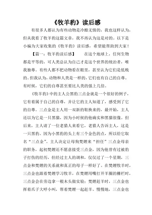 《牧羊豹》读后感