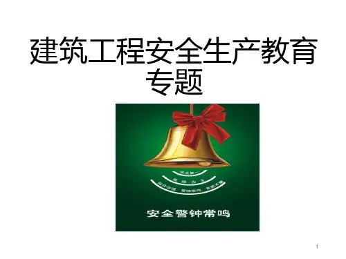 《安全生产事故案例分析》ppt课件