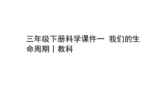 三年级下册科学课件-我们的生命周期｜教科版