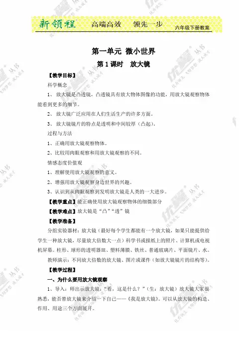 教科版小学科学六年级下册第一单元  微小世界第1课时  放大镜