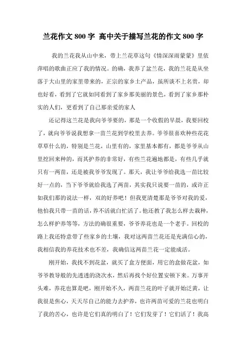 兰花作文800字 高中关于描写兰花的作文800字