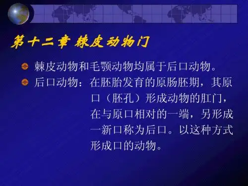 棘皮动物1