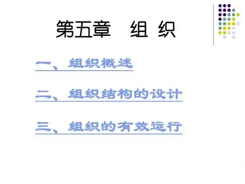 管理学第五章组织
