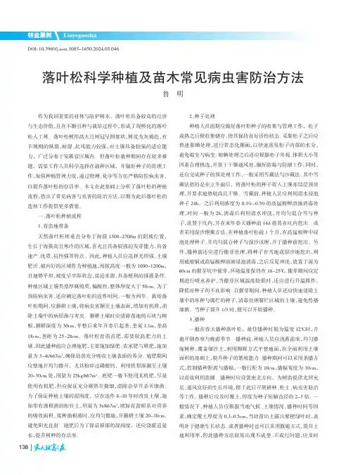 落叶松科学种植及苗木常见病虫害防治方法