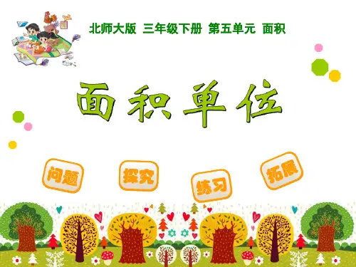 北师大版三年级数学下册《 面积  练习四》公开课课件_2