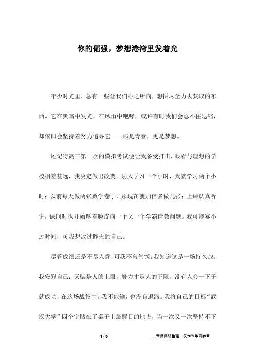 你的倔强,梦想港湾里发着光