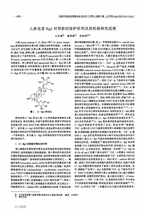 人参皂苷Rg1对肾脏的保护作用及其机制研究进展