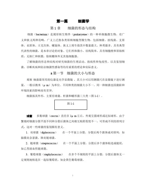 细菌的形态与结构 2