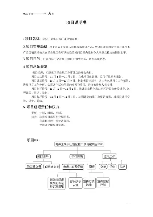 项目说明书