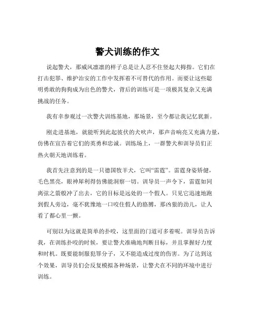 警犬训练的作文
