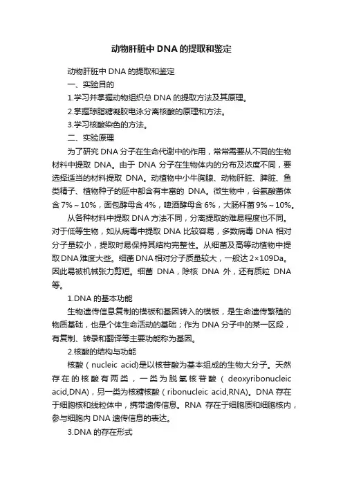 动物肝脏中DNA的提取和鉴定